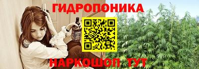 амф Усть-Джегута