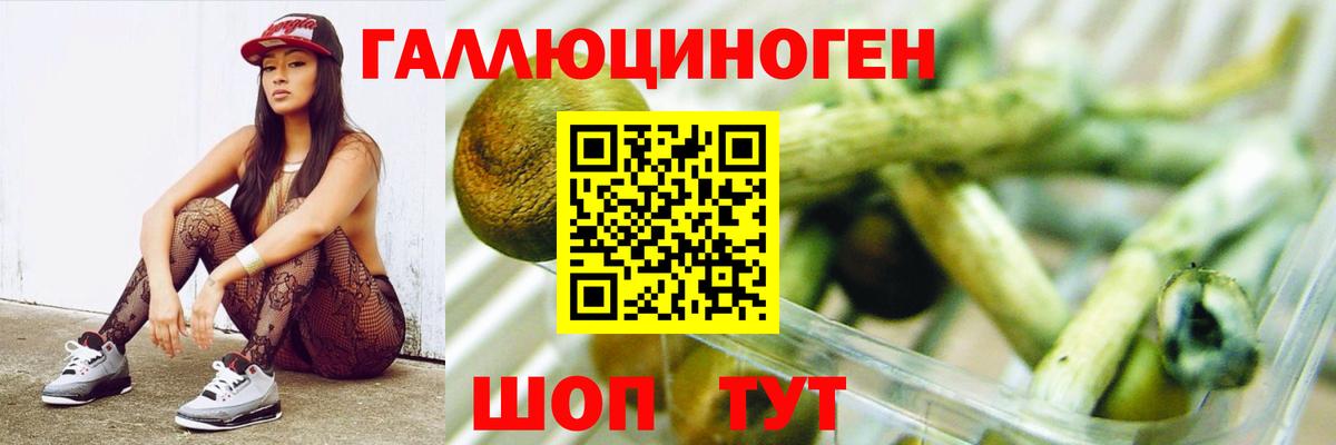 Строитель  Галлюциногенные грибы мухоморы  Вход с VPN  Псилоцибиновые грибы Psilocybine cubensis 